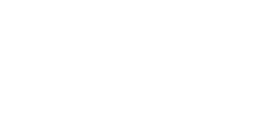 ninja one logo